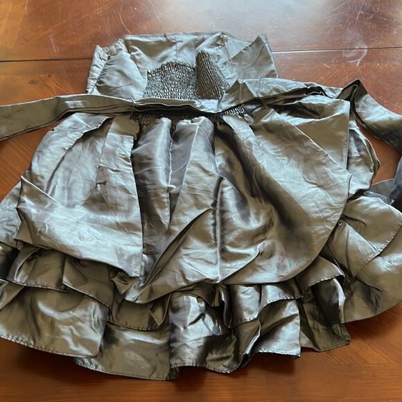 Poetry Clothing Silver Metallic Strapless Tiered Mini Dress with Sash - Picture 12 of 12